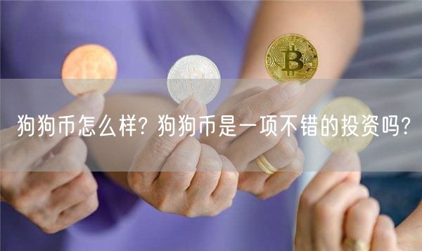 狗狗币怎么样? 狗狗币是一项不错的投资吗?-第1张图片-交易所
